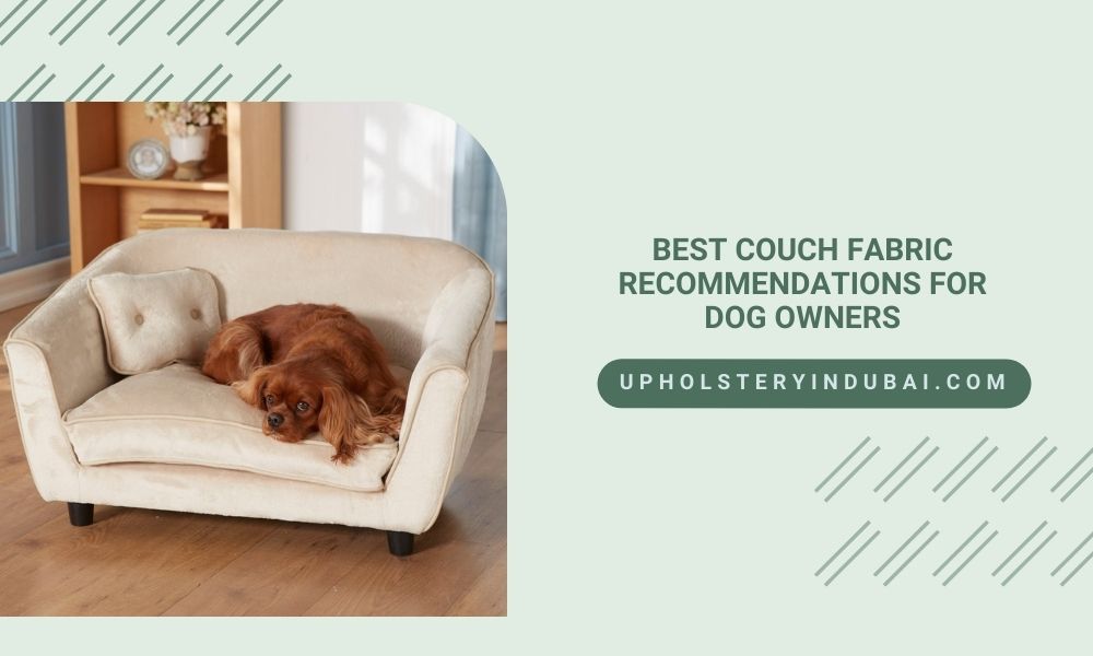 Best Couch Fabric Recommendations for Dog Owners