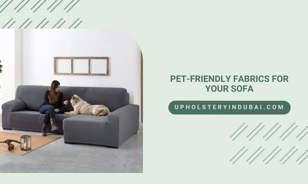 Pet-Friendly Fabrics For Your Sofa
