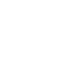 100% Customer Satisfaction